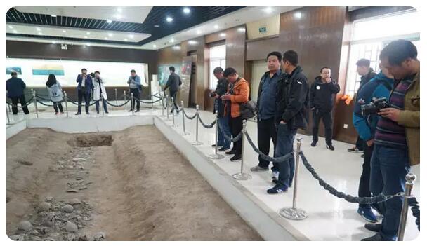 1491986455123496.jpg 7.jpg